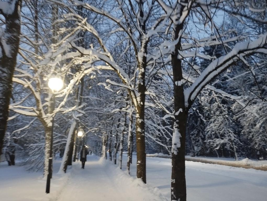 Около 0°С днем и мокрый снег ожидается в начале следующей недели в Могилевской области