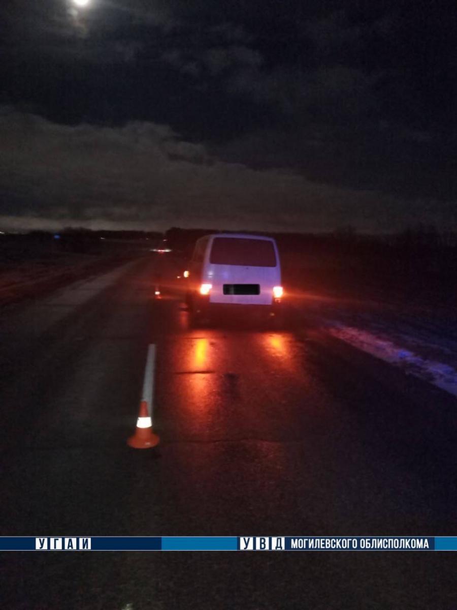 В ДТП в Могилевском районе погиб пешеход