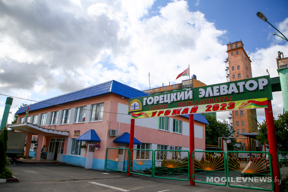На Горецком элеваторе рассчитывают почти на полное заполнение хранилища в нынешнем году. Фото