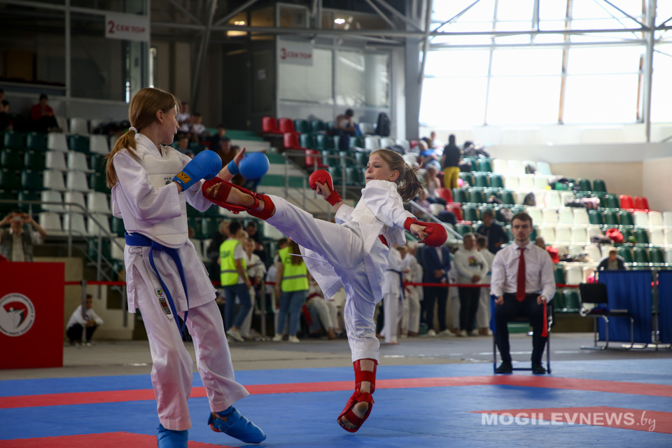 Республиканские соревнования по карате «Mogilev Open» прошли в спортивном комплексе «Олимпиец». Фото