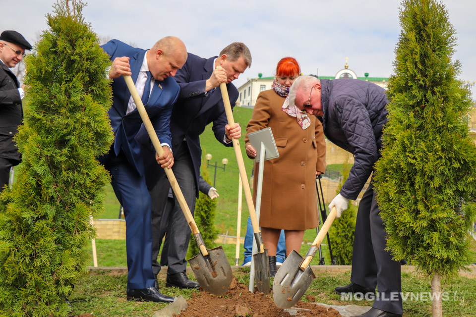 Аллею «Мира и созидания» высадили в парке Подниколье. Фото