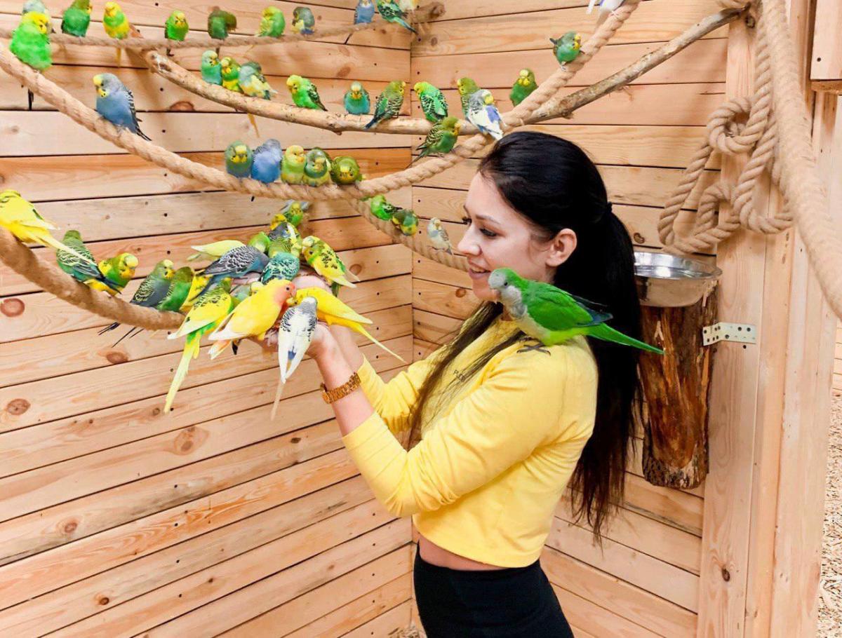 Нашествие попугаев в Могилеве. Уникальный проект ПОПУГАЙНЯ ждет тебя