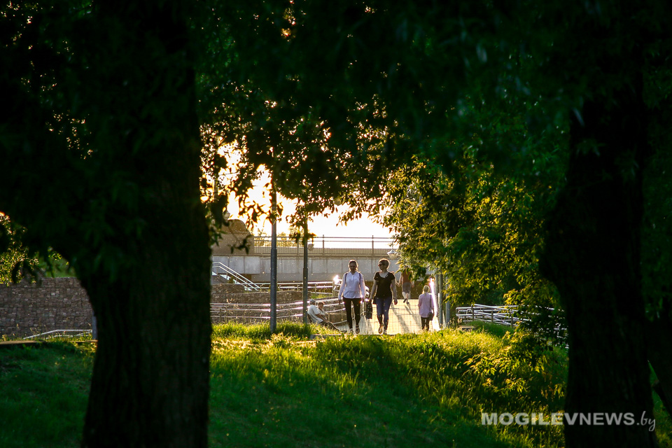 Выше климатической нормы ожидается температура воздуха во второй декаде июня в Могилевской области