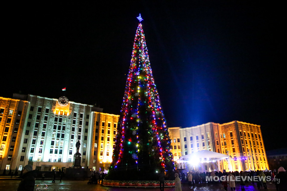 Огни на главной елке области зажгутся 15 декабря
