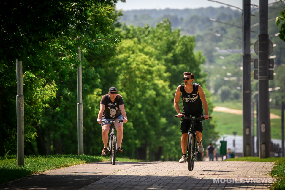 Средняя декадная температура воздуха в Могилевской области ожидается выше климатической нормы