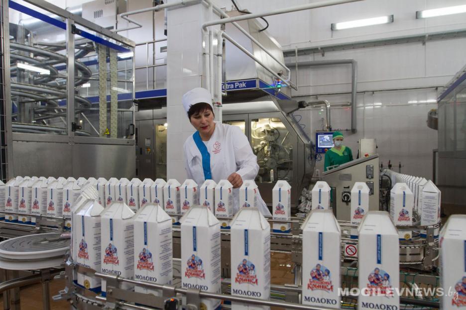 В Беларуси за 2022 год произведено 7,6 млн тонн молока