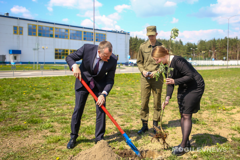 «Аллею мира» заложили в Костюковичах. Фото