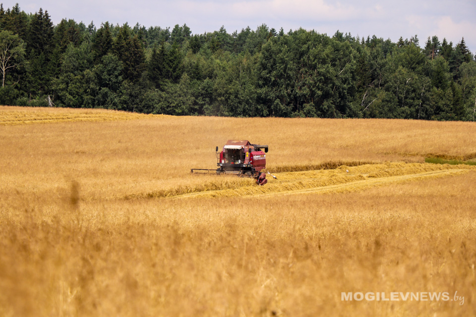 Лукашенко поручил КГК провести ревизию использования сельхозугодий