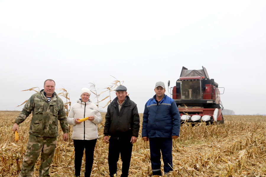 В Климовичском районе завершается  уборка кукурузы