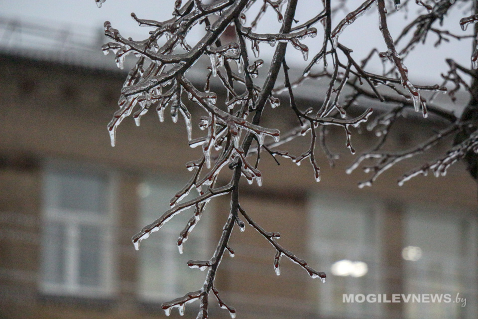 Похолодает в ночные часы в начале следующей недели в Могилевской области