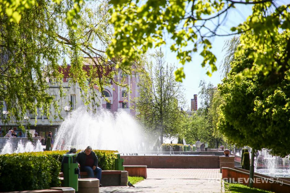 Ночные заморозки до -3°С и существенное потепление днем ожидается в Могилевской области 10 мая