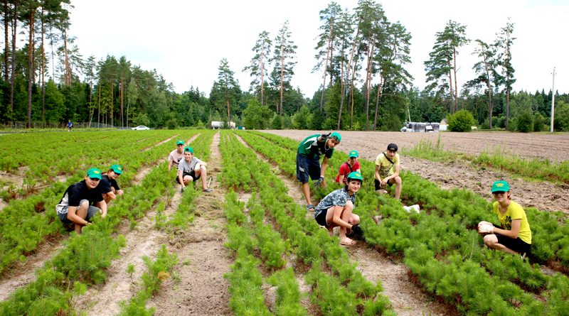 На Климовщине продолжают работу студенческие отряды