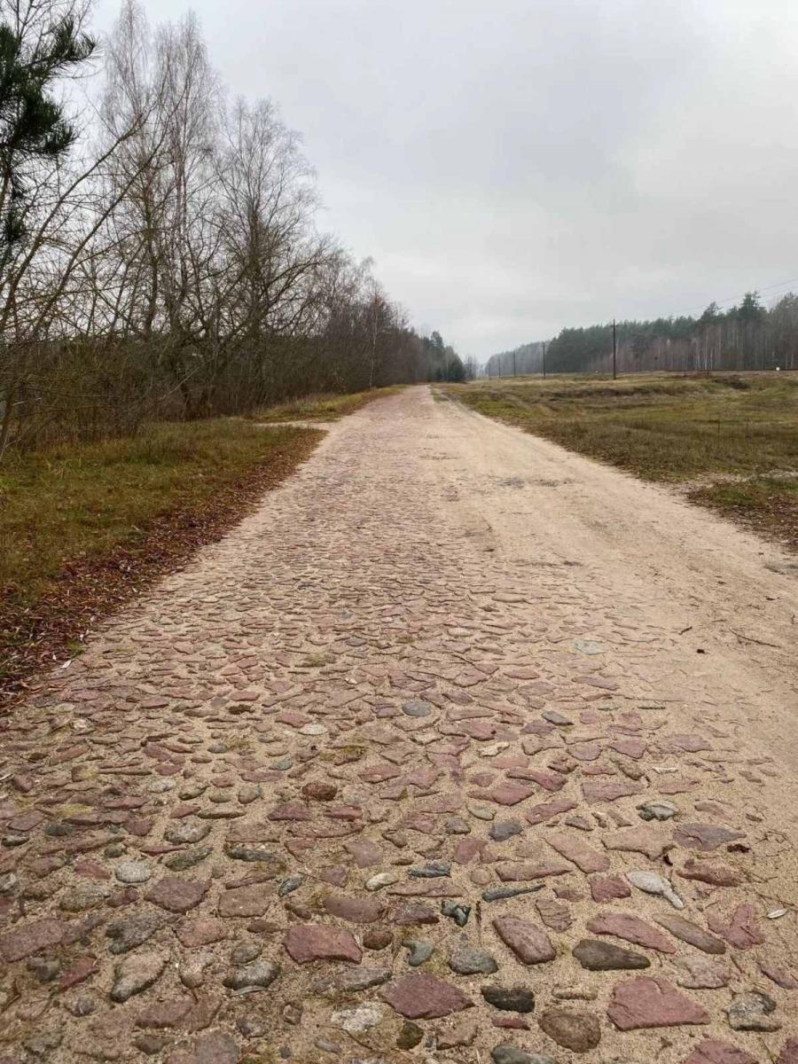 Булыжная дорога сохранилась в Кличевском районе