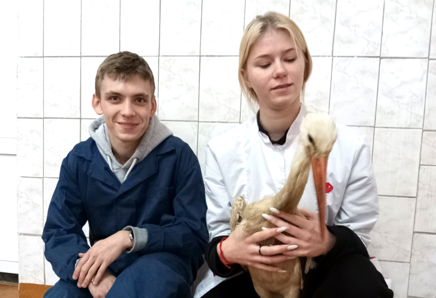 Учащиеся Климовичского аграрного колледжа спасли аиста