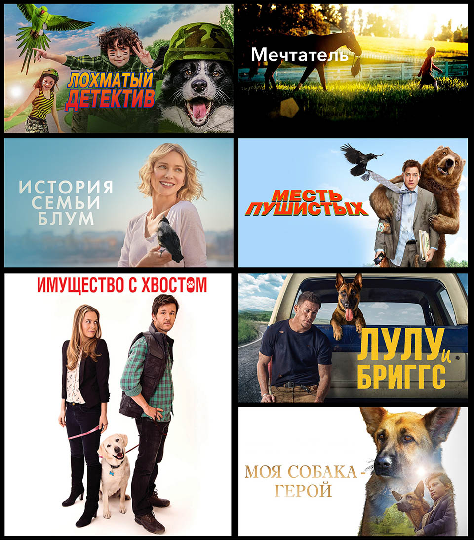 Фильмы о невероятной дружбе людей и животных в сервисе МТС ТВ