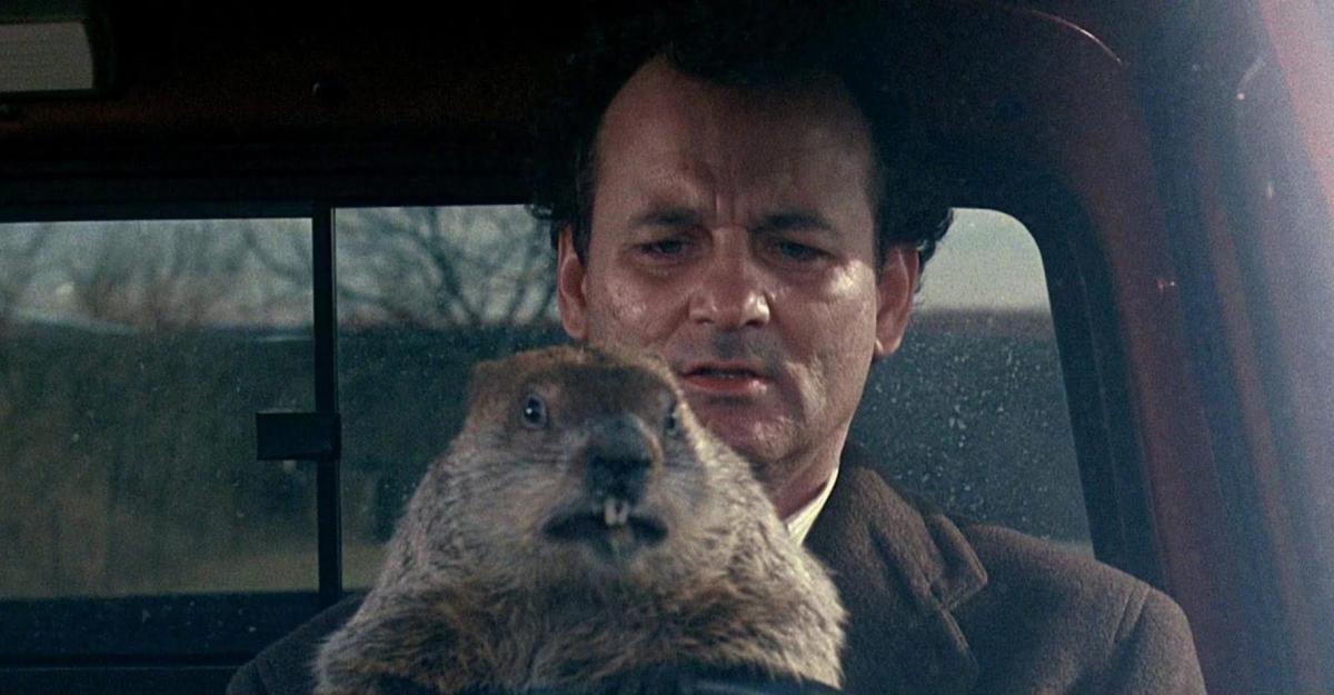 Пять фильмов, после которых вам захочется улыбаться