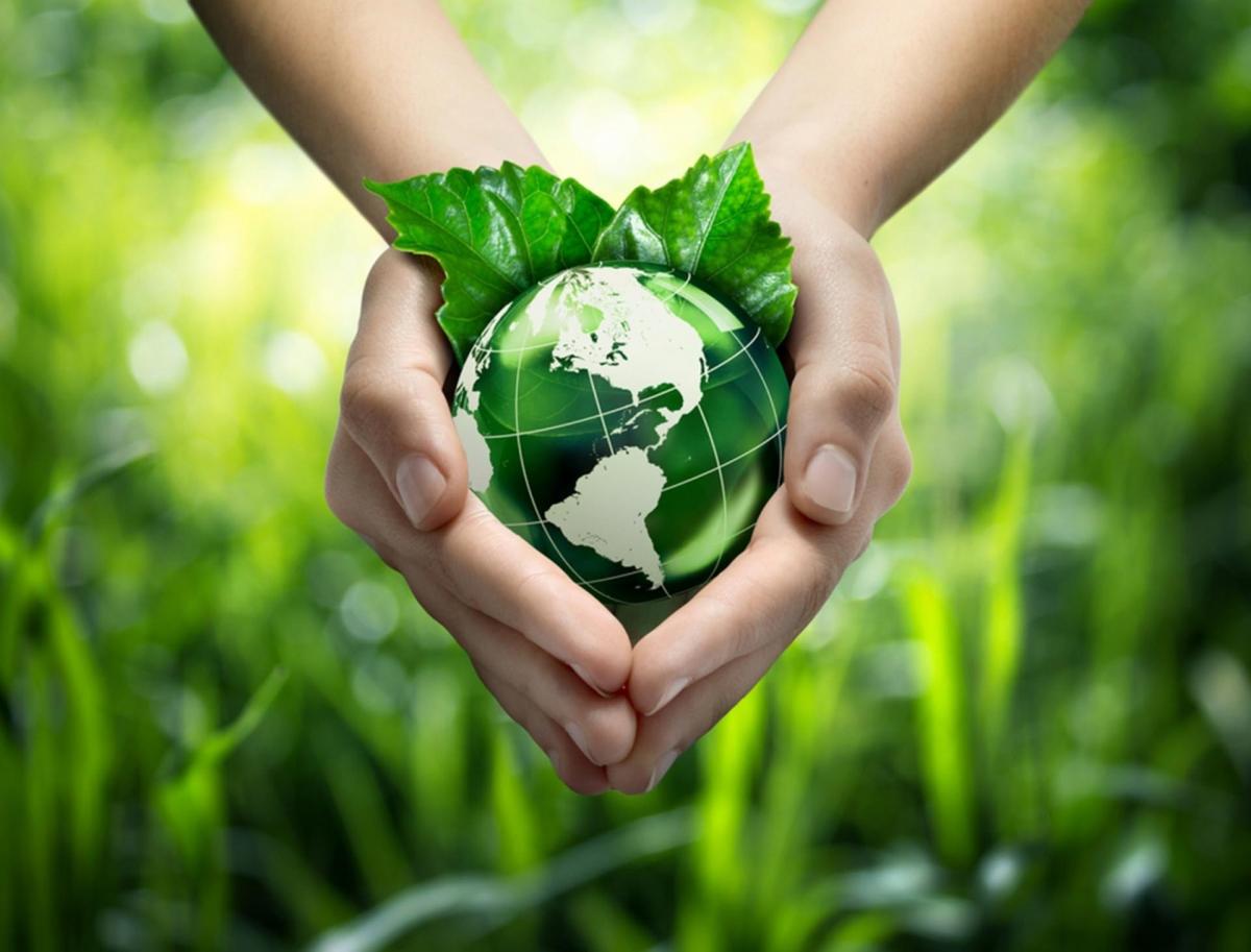 Журналист «Могилевских ведомостей» - среди победителей областного этапа республиканского конкурса на лучшую публикацию на экологическую тематику