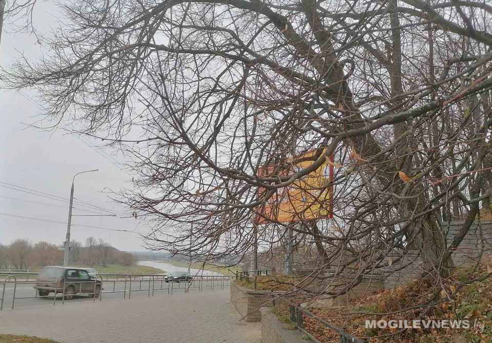 Погода на выходные: до -13°С ночью и преимущественно без осадков