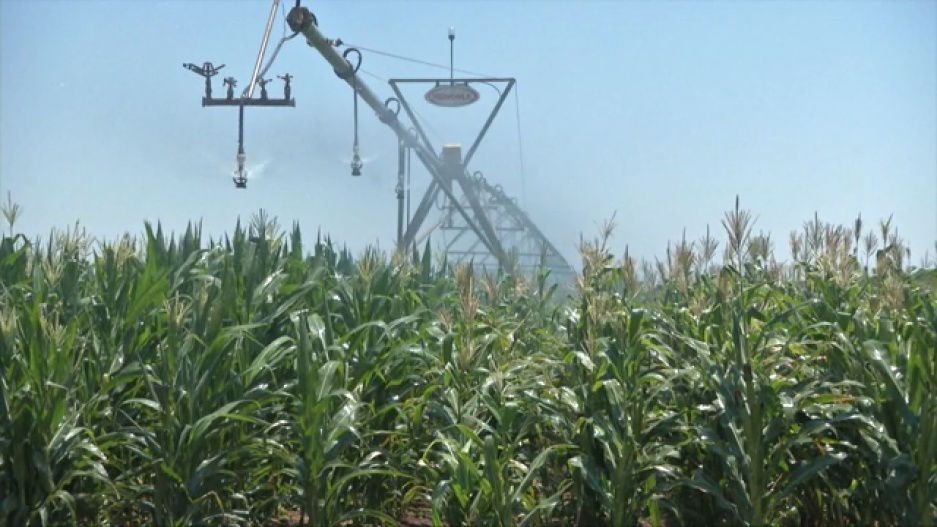 В Могилевской области планируется заложить фонд сельхозпродукции для обеспечения жителей региона в межсезонье