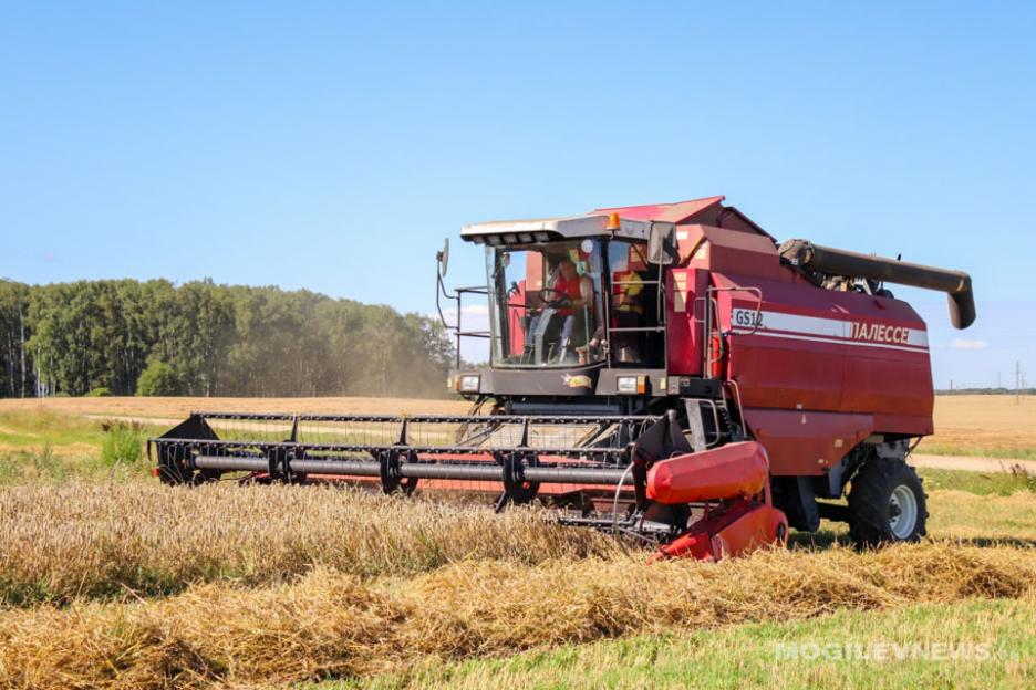 В Беларуси намолочено 8,7 млн тонн зерна с учетом рапса