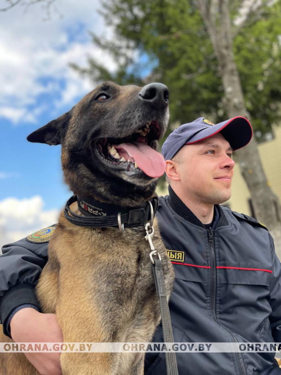 Два кинолога представят Могилевщину на соревнованиях охранного ведомства по служебному многоборью специалистов-кинологов