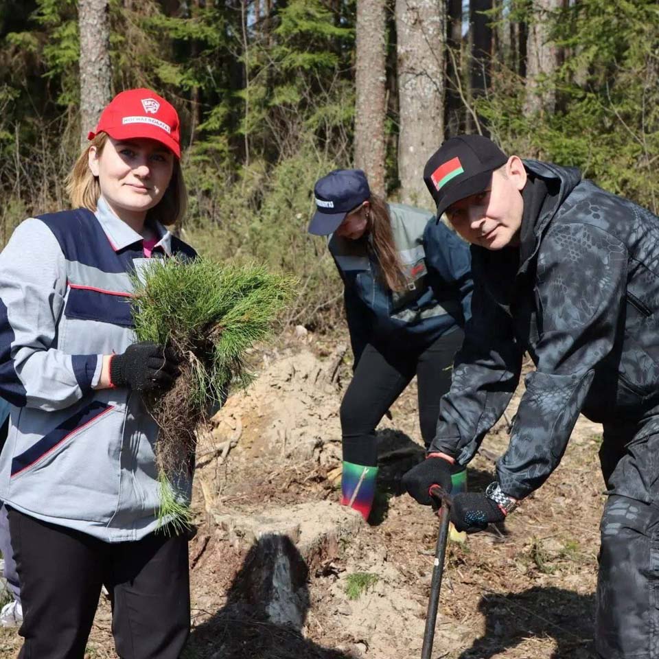 Молодые активисты РУП «Могилевоблгаз» приняли участие в акции «Неделя леса» в Белыничском районе