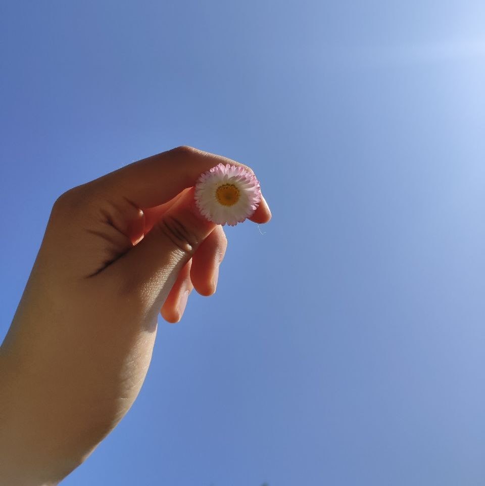 Штормовое предупреждение вынес Могилевоблгидромет на 28 мая из-за заморозков