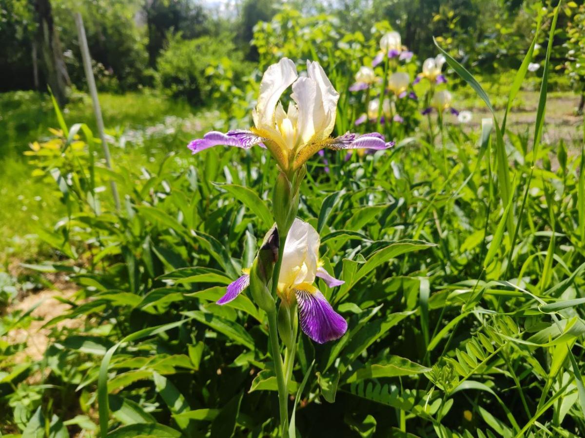 Погода на неделю: до+28°С, с четверга кратковременные дожди, возможны грозы
