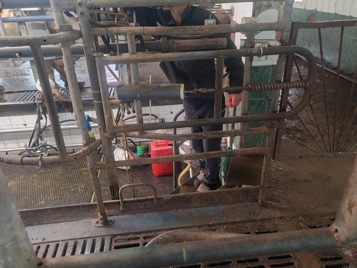 В Кировске нога мужчины застряла в конструкции автоматизированной кормораздаточной кормушки