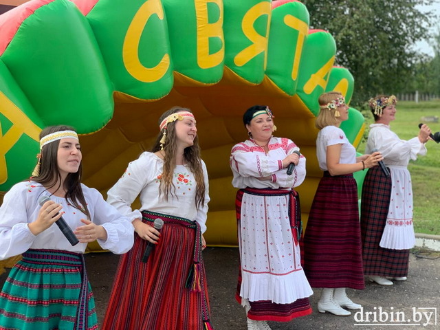 В агрогородке Михеевка Дрибинского района прошел день деревни