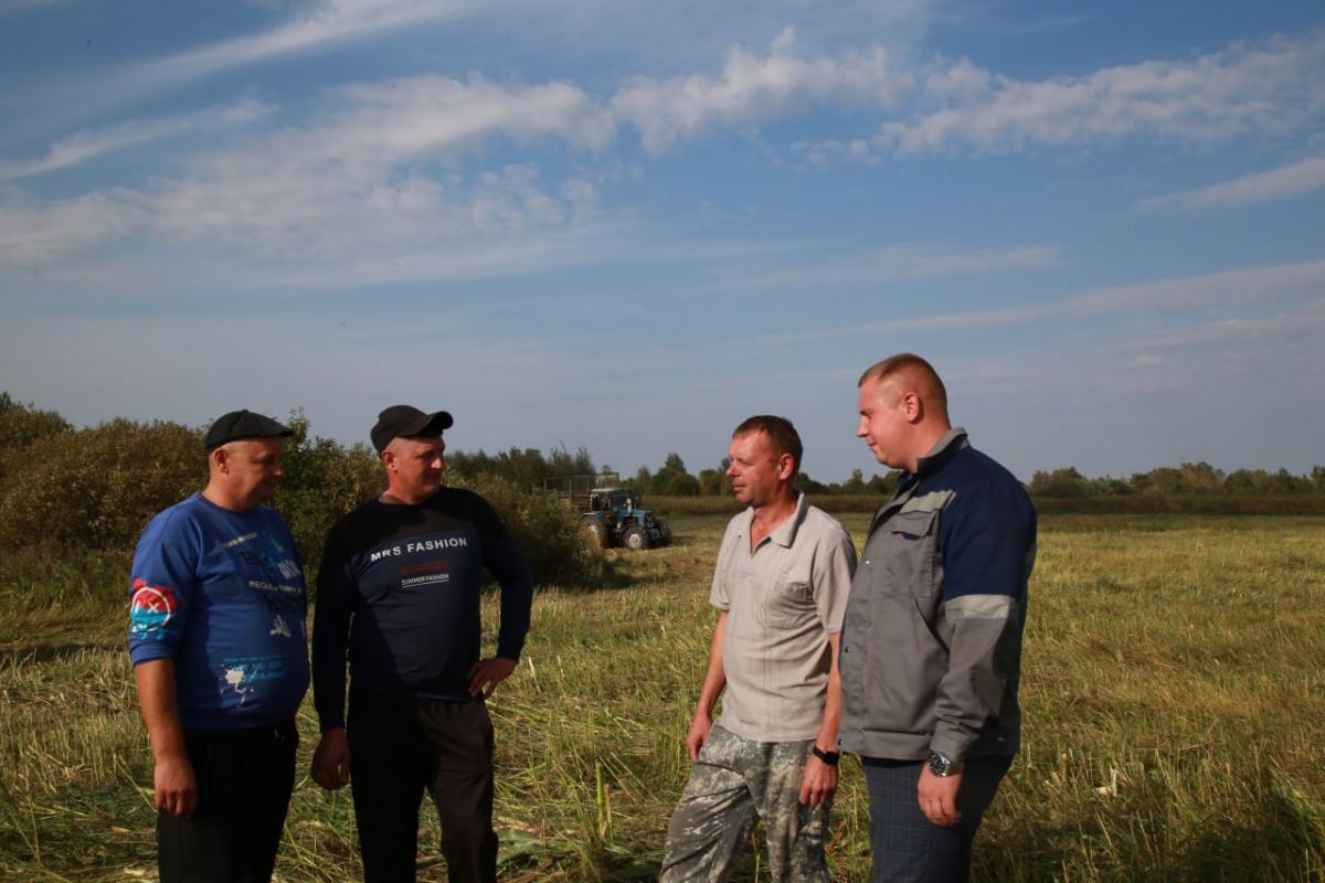 Кукуруза и подсолнечник на одном поле: эксперимент провели в филиале № 1 "Цемагро"