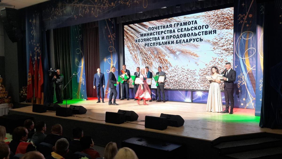 Нагрудный знак и юбилейную медаль Минсельхозпрода вручили представителям Могилевщины на "Дожинках" в Хотимске