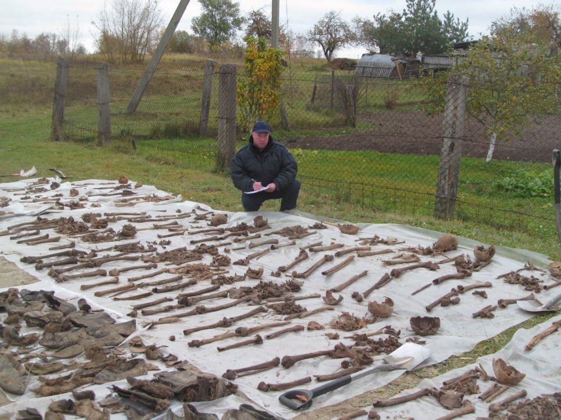 Останки не менее 65 мирных граждан, расстрелянных во время ВОВ, обнаружили в Славгородском районе