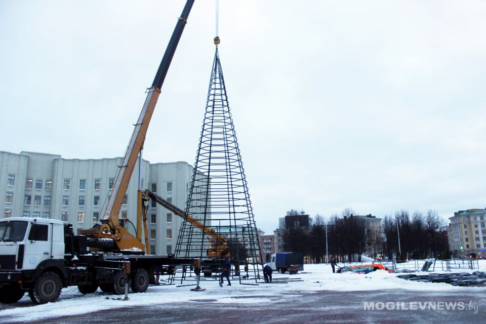 Главную елку области начали монтировать в Могилеве