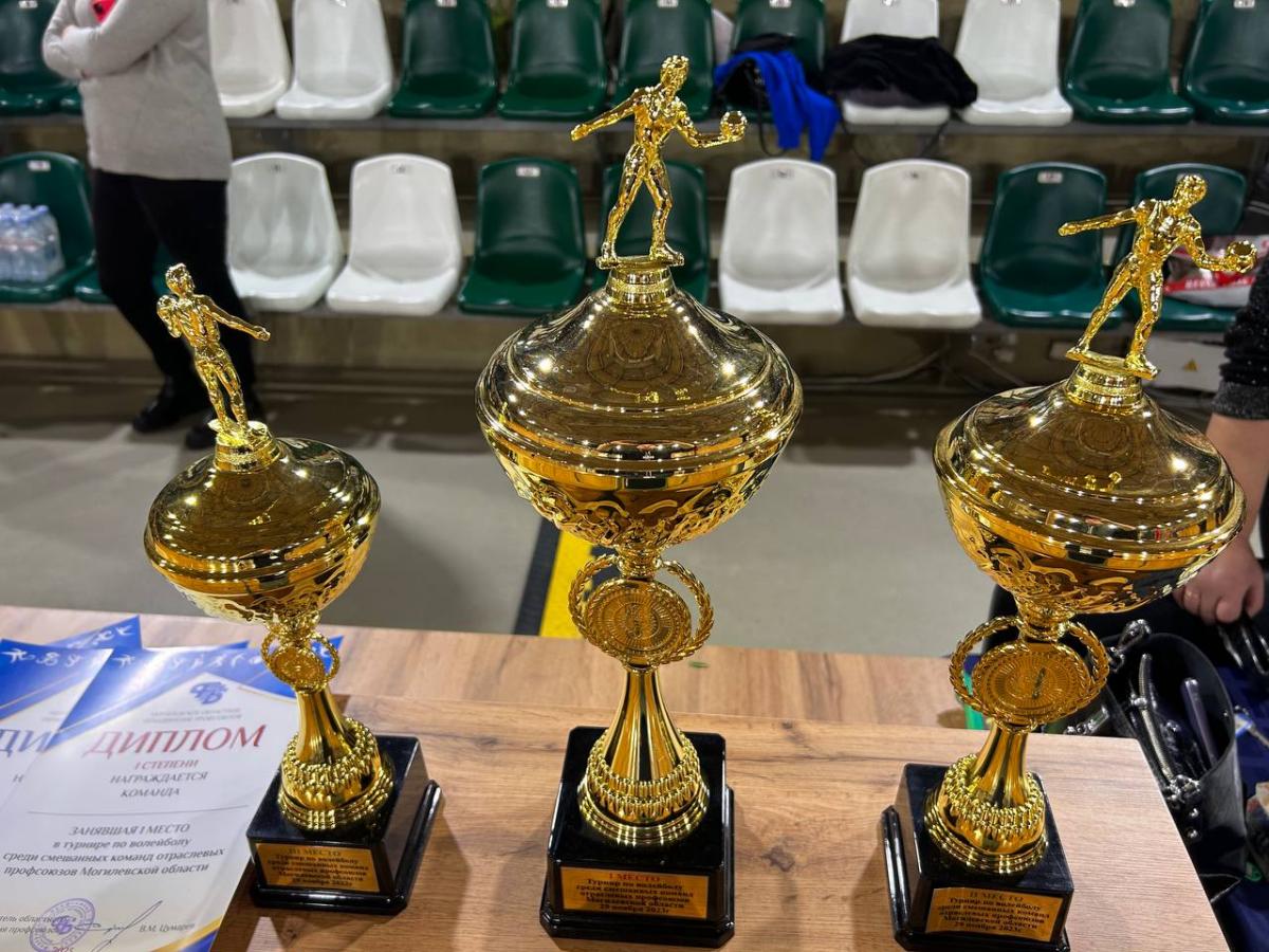 Профсоюзный турнир по волейболу прошел в Могилеве