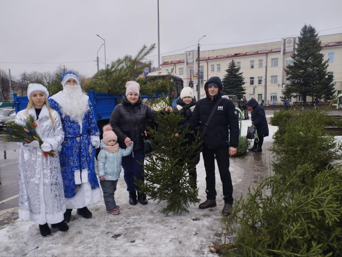 Елочные базары работают в Могилёве в разных местах города
