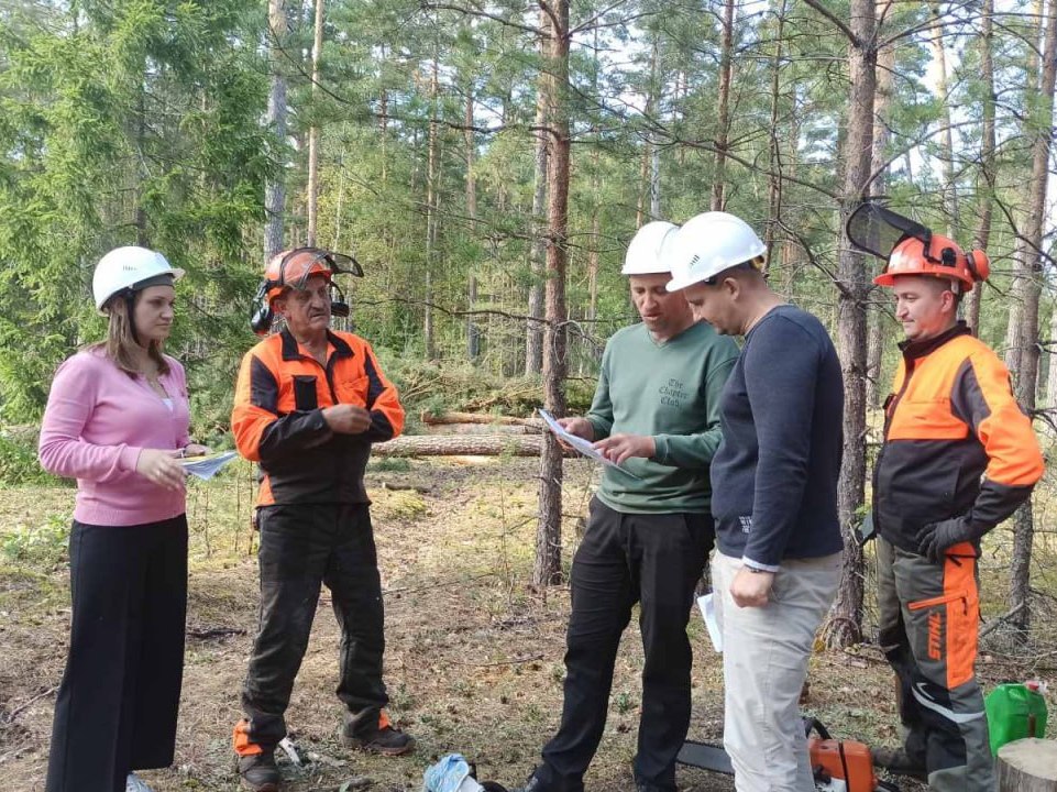 Итоги месячника безопасного труда при производстве лесосечных работ и в деревообработке подвели в облорганизации профсоюза