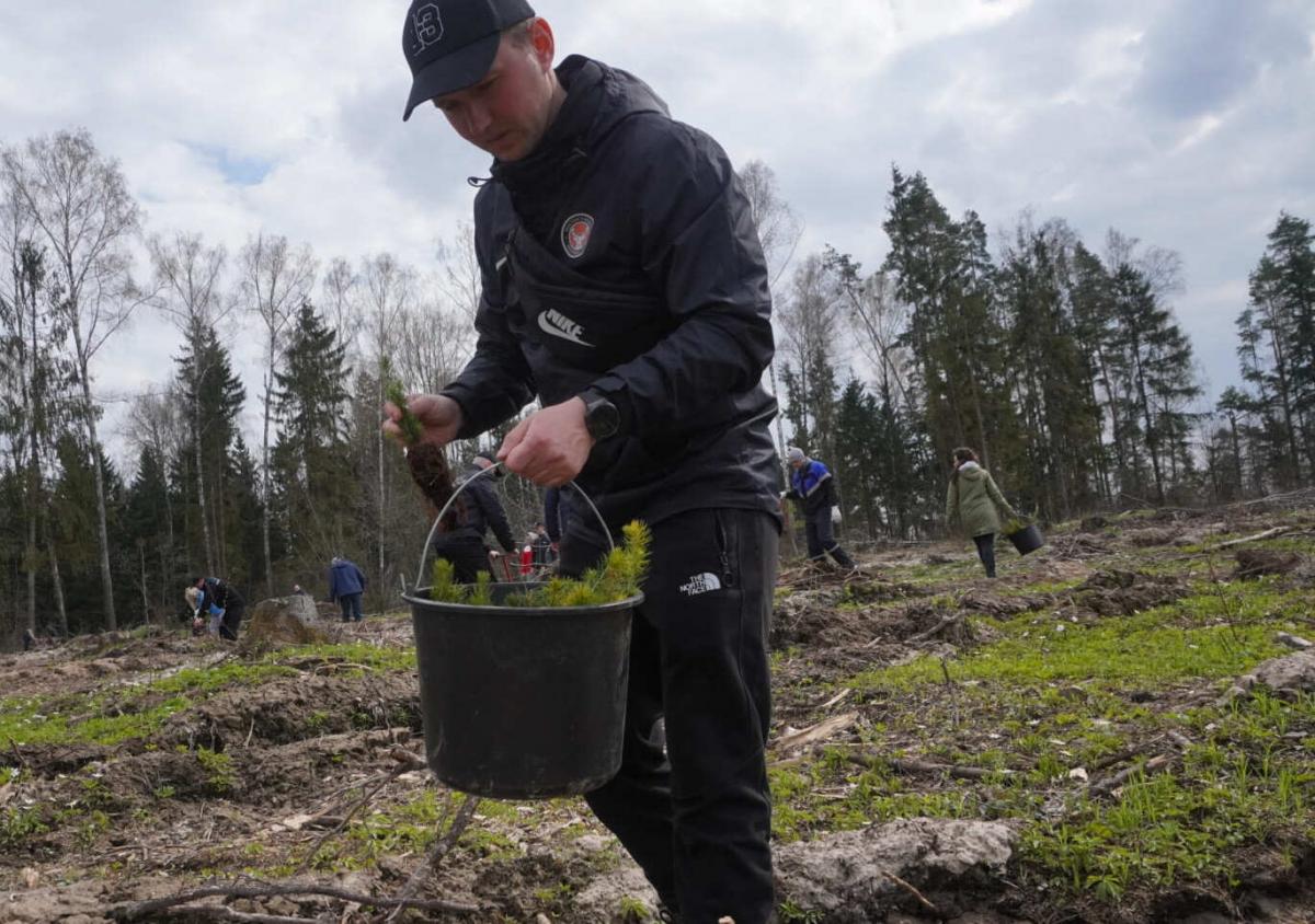Спасатели областного управления МЧС и городского отдела по ЧС высадили более 4 тысяч саженцев