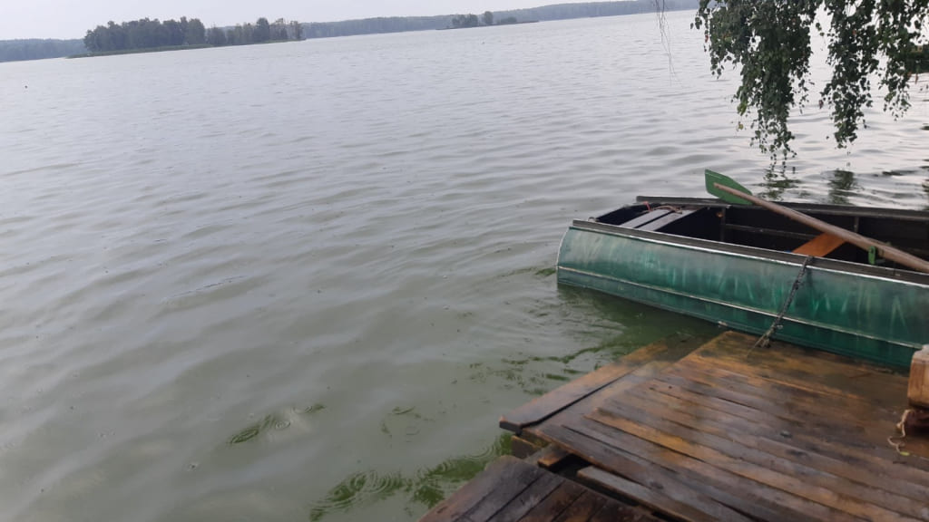 В Кировском районе утонул мужчина, нырнув с пирса