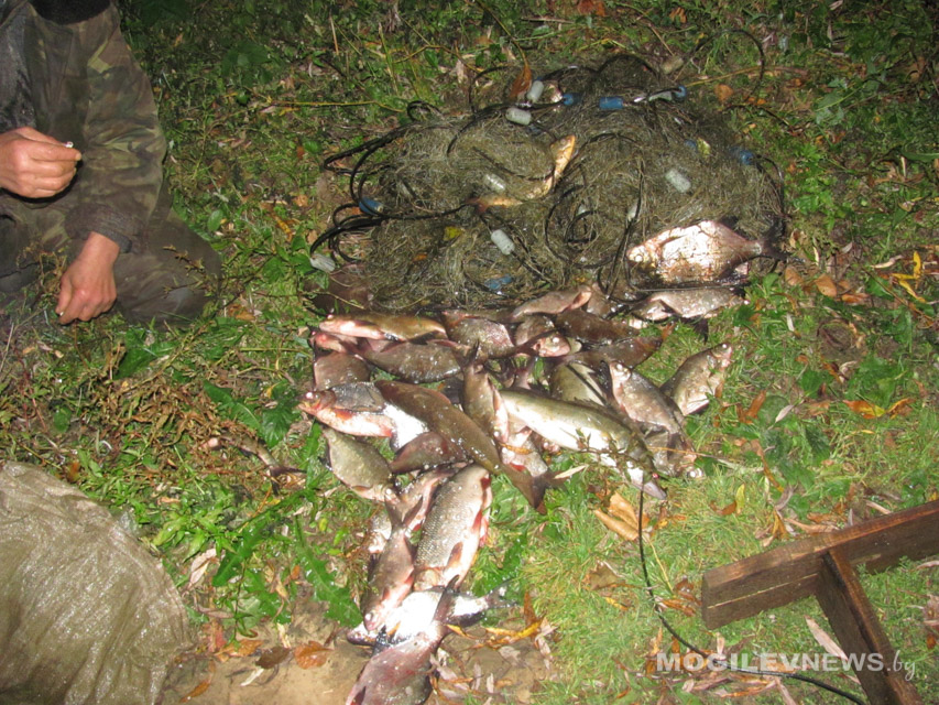 46 км. запрещенных сетематериалов и 738,6 кг незаконно добытой рыбы изъято в Могилевской области за 2022 год