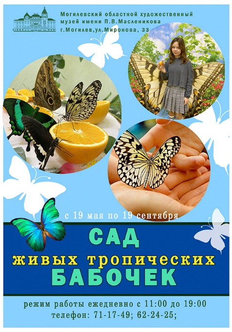 Музей имени П.Масленикова приглашает на выставку живых тропических бабочек