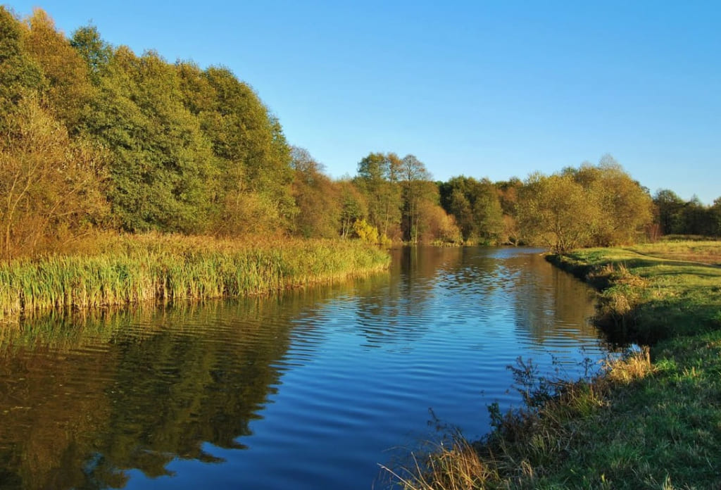 В Осиповичском районе спасли девушку, которая тонула