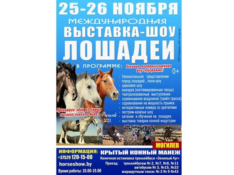 На выставку-шоу породистых лошадей «Осень-2023» приглашают могилевчан 25-26 ноября