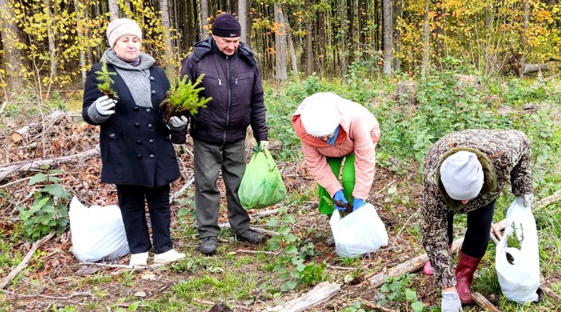 Климовчане участвуют в посадке леса