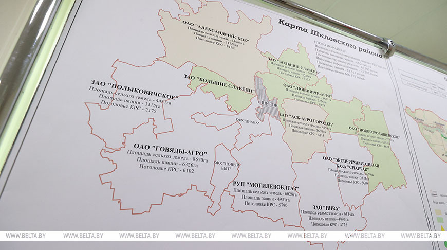 Лукашенко продолжил работу в Шкловском районе. В центре внимания развитие холдинга "Купаловское"