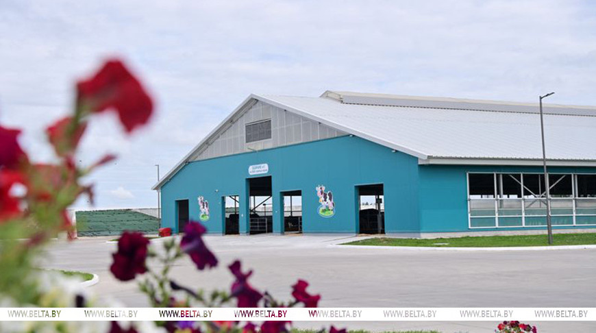 Лукашенко продолжает работать на востоке страны. Сегодня он приехал в агрокомбинат "Юбилейный" в Оршанском районе