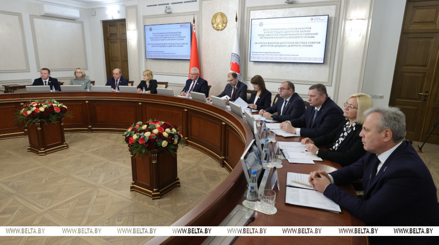 Карпенко рассказал о подготовке проведения выборов в ВНС