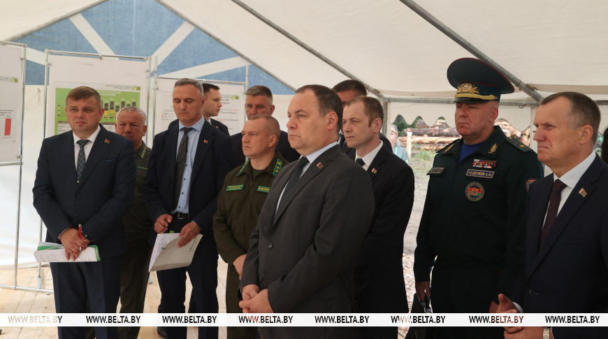 В Могилевской области стихией повреждено более 7,6 тыс. га лесных насаждений