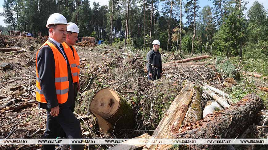 Роман Головченко: главная задача - получить максимальный экономический эффект от устранения последствий непогоды