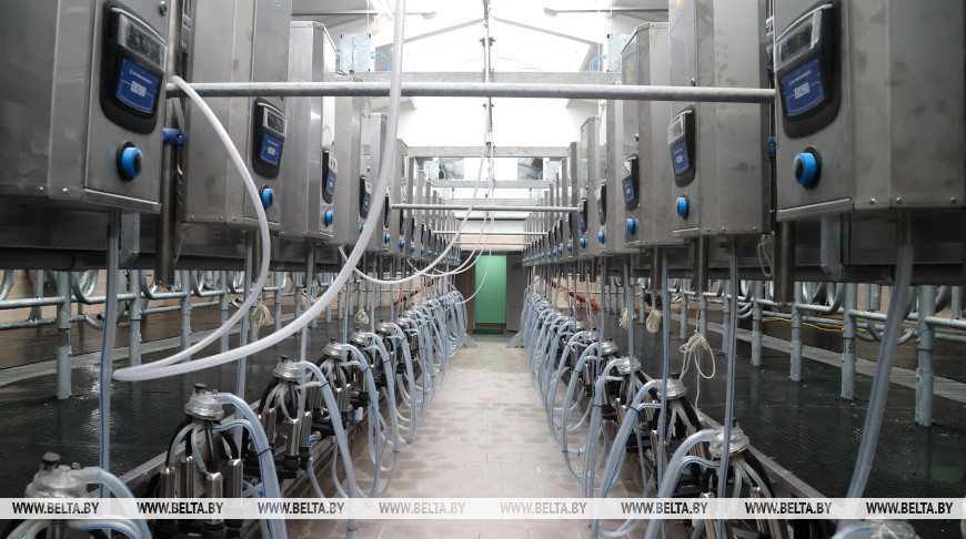 Нарастить объемы и улучшить качество. Современные МТК открываются в Бобруйском и Кировском районах